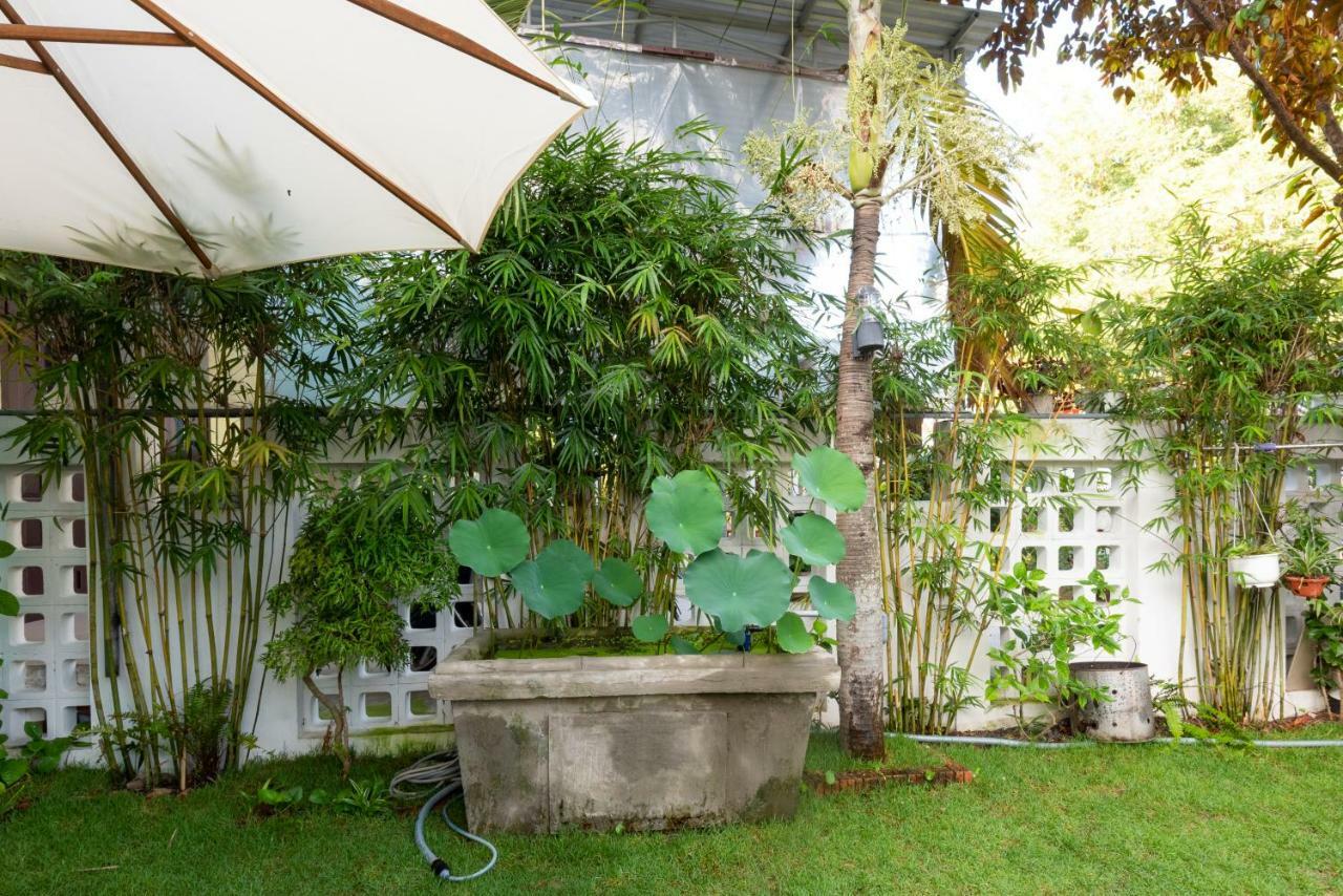 הוי אן Rice Village Homestay מראה חיצוני תמונה