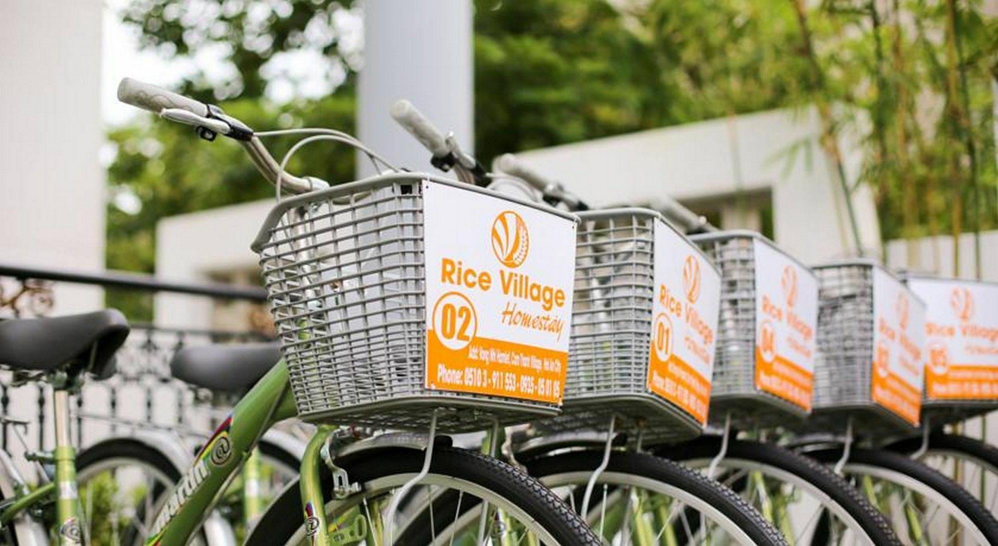 הוי אן Rice Village Homestay מראה חיצוני תמונה