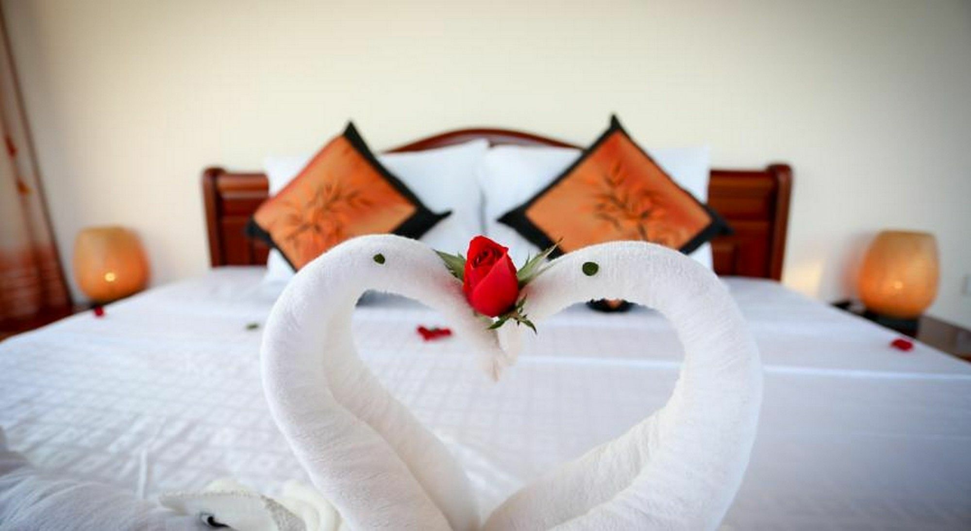 הוי אן Rice Village Homestay מראה חיצוני תמונה